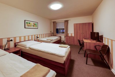 Hotel Ned Hockey