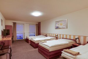 Hotel Ned Hockey