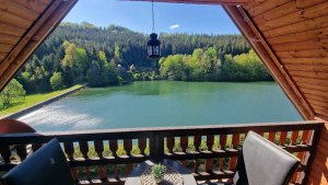 Chata s wellness - Dolní Bušínov