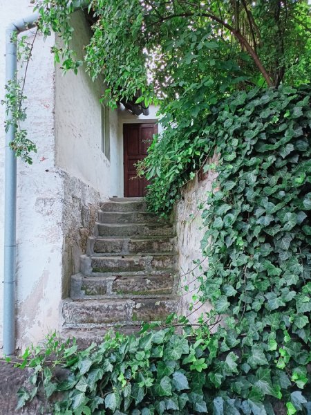 Farma Vrchovany