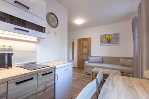Apartmány Country Saloon
