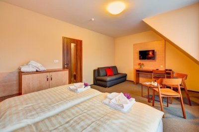 Hotel Toč
