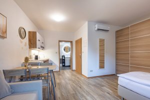 Apartmány Country Saloon