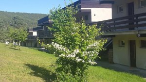 Apartmány Orlík - Loužek