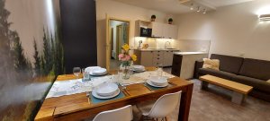 Wellness apartmány Říčky