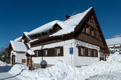 Pension pod Světlým vrchem