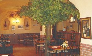 Apartmány Zelená ratolest