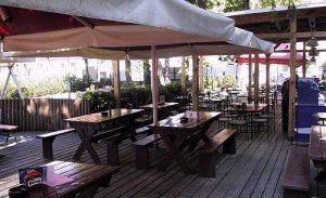Apartmány Zelená ratolest