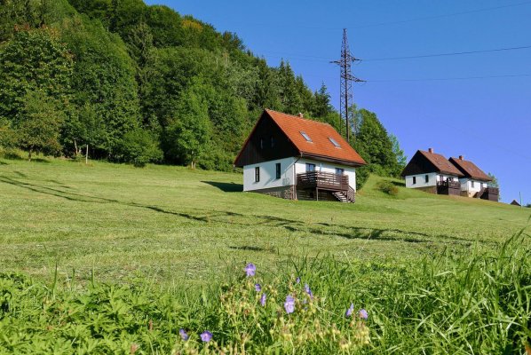 Green Valley park Stárkov