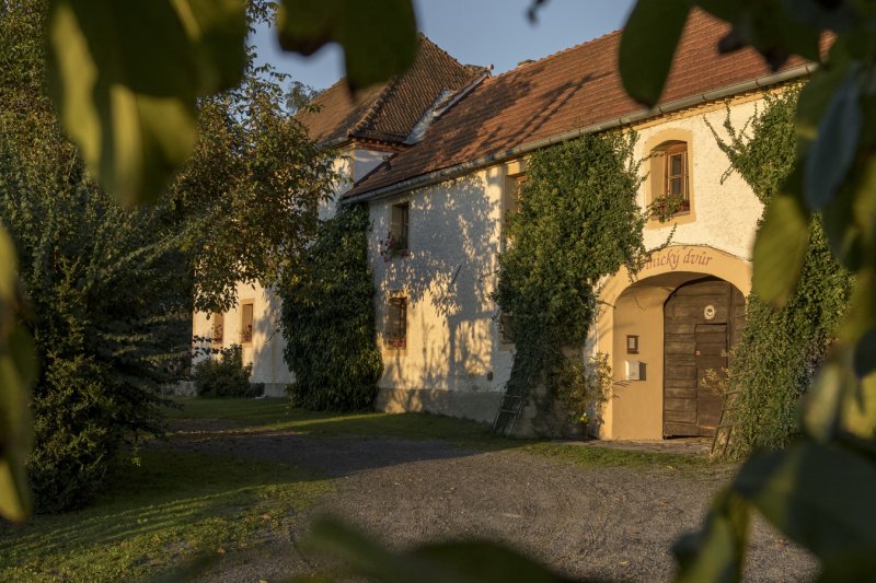 Penzion Vinický dvůr
