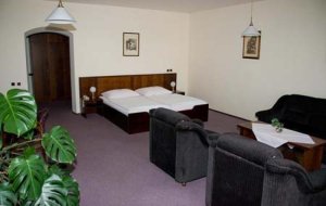 Hotel Celerin