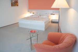 Hotel JANA