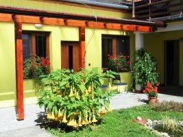 Penzion ubytování Květinová