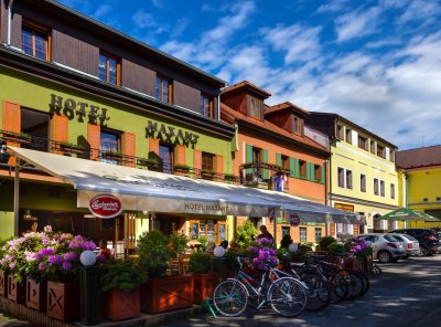Hotel MAXANT