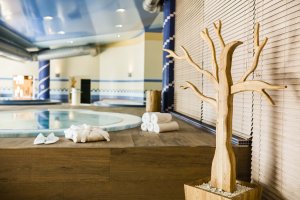 Amenity Hotel & Resort Lipno