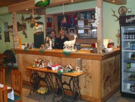 Penzion U Stříbrného jelena