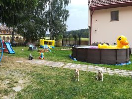 Penziony Tomy s.r.o.