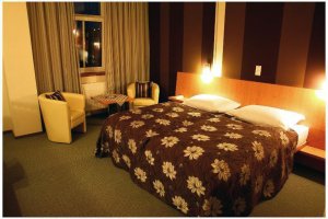 Hotel Galant