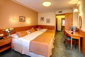 Hotel Clementin