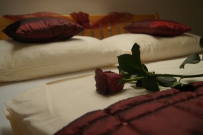 Penzion a restaurace U Růže