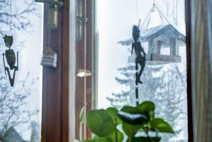 Chaloupka pod Krakonošovem