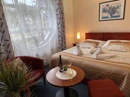 WELLNESS HOTEL SYNOT***