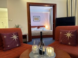 WELLNESS HOTEL SYNOT***
