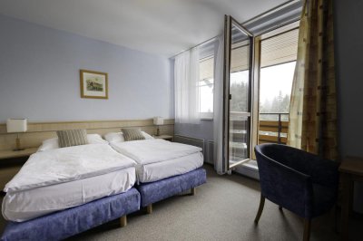 Hotel Petrovy Kameny