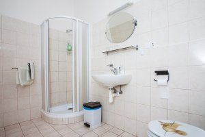 Hotel a Kozlovna Alfa