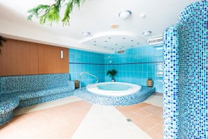 Hotel Petrovy Kameny