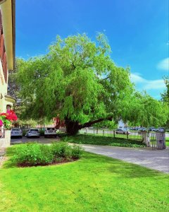 Pension Villa ANCORA