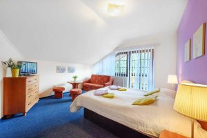 Hotel Centrum Harrachov