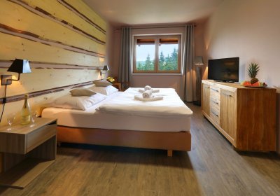 Hotel Obzor - Pec pod Sněžkou
