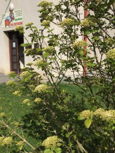 Ubytování, Apartmány pod Čerťákem
