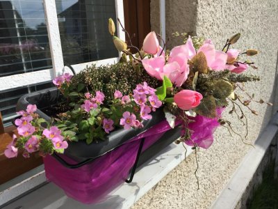 Ubytování, Apartmány pod Čerťákem