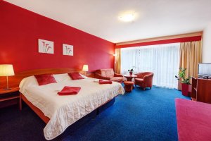 Hotel Centrum Harrachov