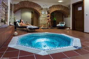 Hotel Hejtmanský dvůr