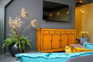 Royal Wellness & Apartmány