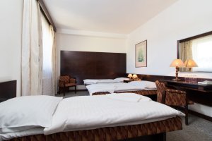 Hotel Merkur s.r.o.