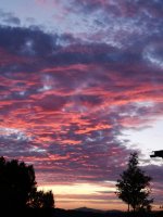 Camping v Ráji - Palda