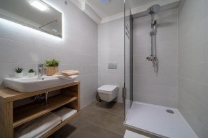 HOTEL ZELENÝ POTOK 4*