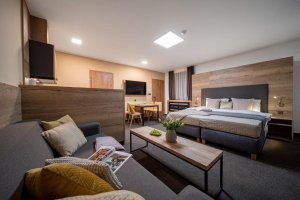 HOTEL ZELENÝ POTOK 4*