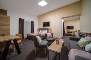 HOTEL ZELENÝ POTOK 4*