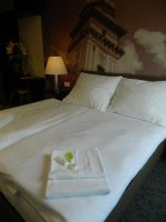 Hotel Bílý páv