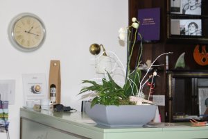 Hotel Amadeus