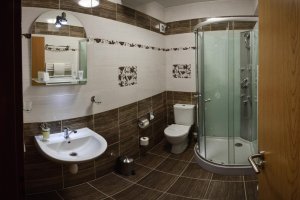 Hotel Ryšavý