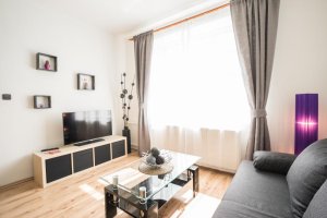 Čajkovskij Apartments