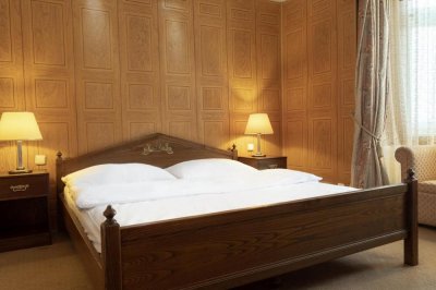 Hotel Vladař 