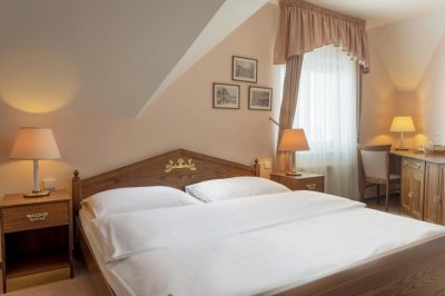 Hotel Vladař 