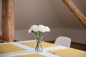 Pytloun Apartments****